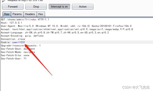 熊海CMS安全漏洞剖析 SQL注入、XSS攻擊與Cookie篡改
